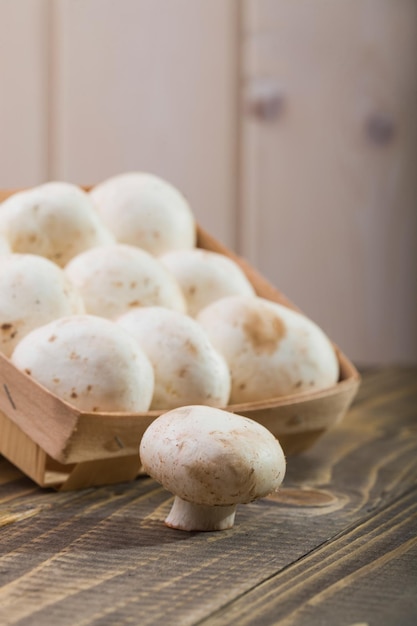 Agaricus in der Nähe von Korb