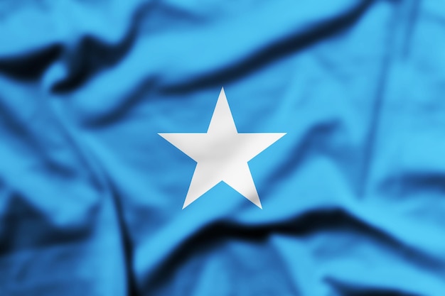 Foto agitando la bandera de somalia