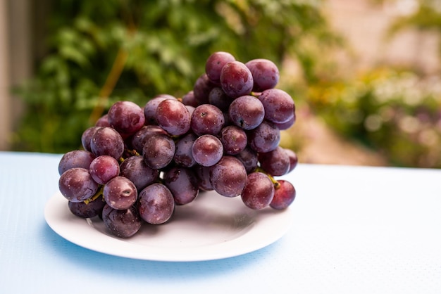 Aglomerado de bagas de uvas azuis maduras no prato em pé na mesa