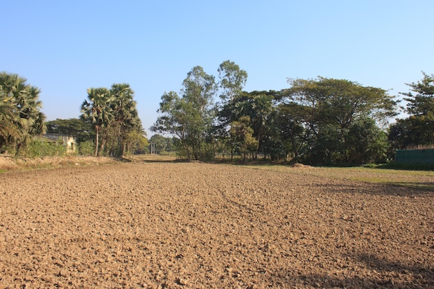 Foto agrícola campos