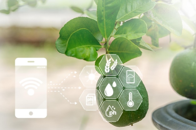 Agrícola com conceitos gráficos tecnologia agrícola moderna fazenda digital inovação agrícola inteligente