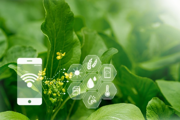 Agrícola con conceptos gráficos tecnología agrícola moderna granja digital innovación agrícola inteligente