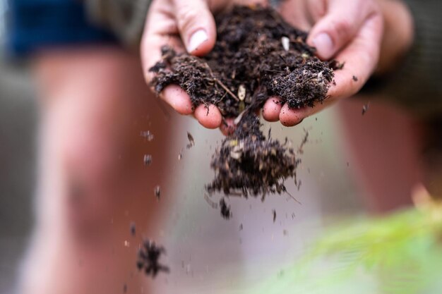 Agricultor a recolher amostras de solo num tubo de ensaio num campo Agronomo a verificar o carbono do solo e a saúde das plantas numa quinta