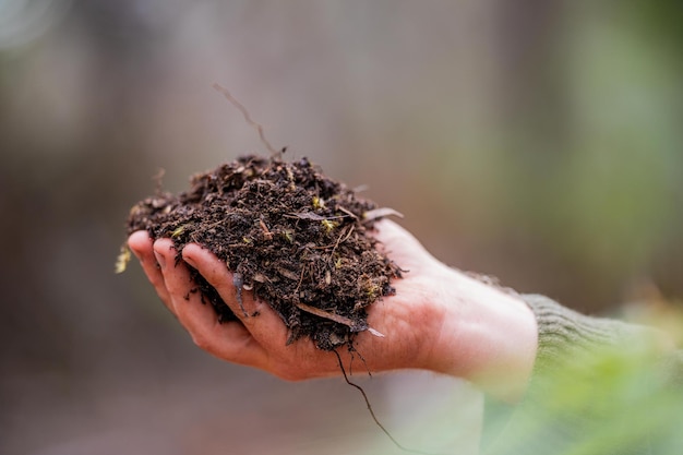 Agricultor a recolher amostras de solo num tubo de ensaio num campo Agronomo a verificar o carbono do solo e a saúde das plantas numa quinta