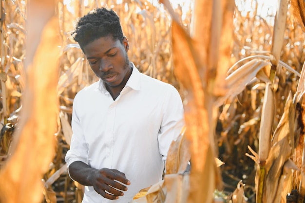 Agricultor africano no campo de plantação de milho