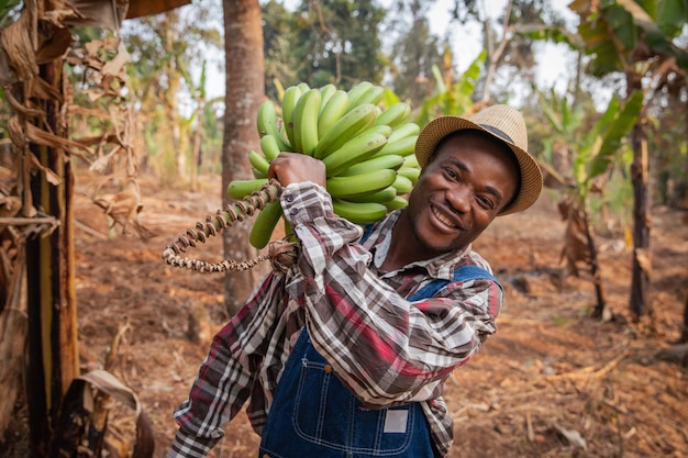 Un agricultor africano sonriente con un montón de plátanos recién recogidos en su cultivo