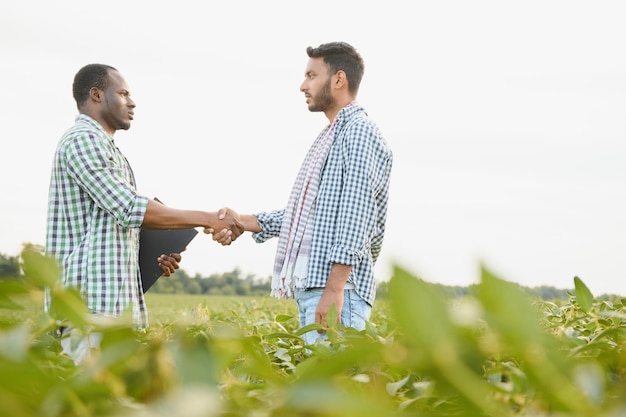 Un agricultor afroamericano y un empresario indio en un campo de soja discuten la venta de soja