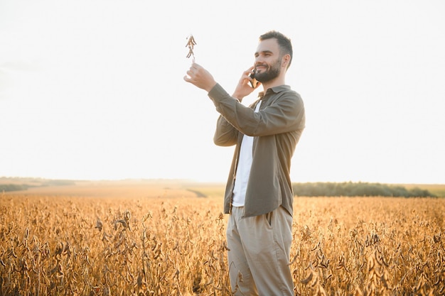 Agricultor agrônomo em um campo de soja Indústria agrícola