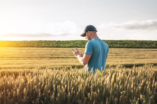Agricultor agrônomo em um campo de trigo. Homem com pasta e telefone em um campo agrícola