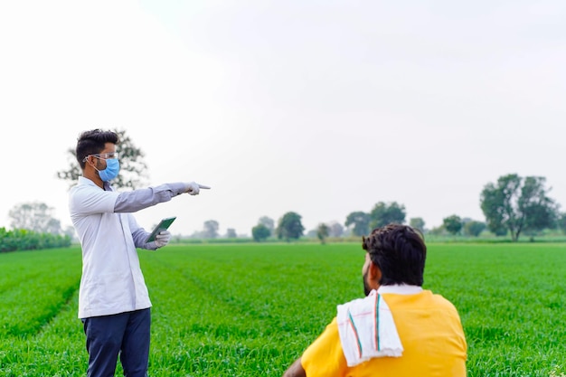 Agricultor con agrónomo examinando la espiga de la cosecha de trigo en el campo agrícola