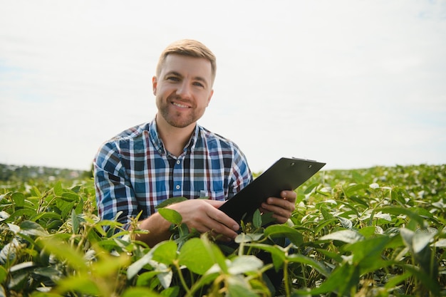 Agricultor agrônomo no campo de soja, verificando as culturas Produção e cultivo de alimentos orgânicos