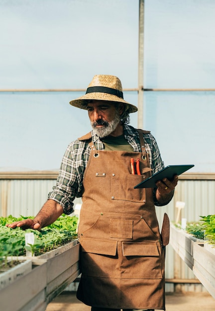 Foto agricultor anciano trabajando en su granja y invernadero