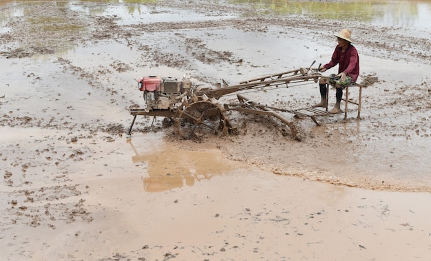 Foto agricultor arando en campo de arroz preparar arroz planta bajo la luz solar