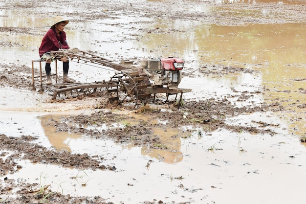 Agricultor arando en campo de arroz