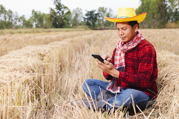 Agricultor asiático com restolho de arroz no campo