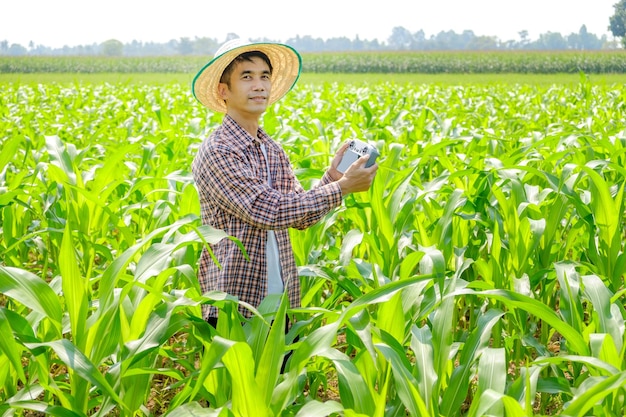 Agricultor asiático em camisa listrada pilotando um drone em um campo de milho