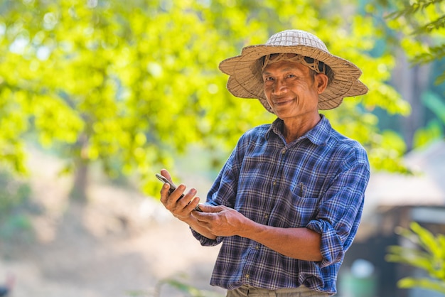 Agricultor asiático no campo com smartphone