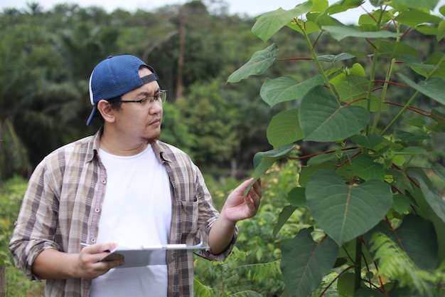 Agricultor asiático supervisor de plantación comprobando el crecimiento de las plantas industria de cultivo orgánico natural