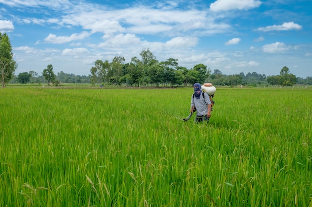 Agricultor asiático tailandés para herbicidas o fertilizantes químicos Equipos en los campos