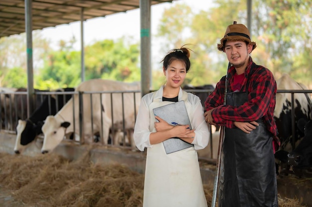 Agricultor asiático Trabaja en una granja lechera rural fuera de la ciudad Jóvenes con vacas