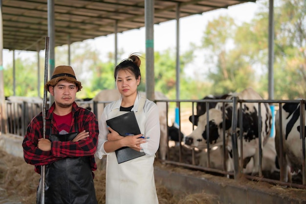 Agricultor asiático Trabaja en una granja lechera rural fuera de la ciudad Jóvenes con vacas