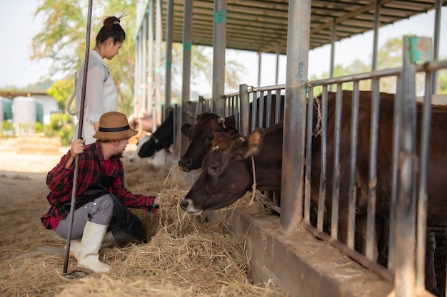 Agricultor asiático Trabaja en una granja lechera rural fuera de la ciudad Jóvenes con vacas