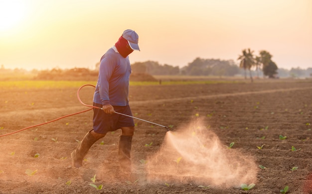 Agricultor asiático trabajando en el campo y rociando fertilizante