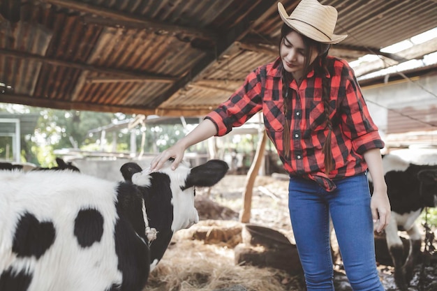 Agricultor asiático Trabajar en una granja lechera rural fuera de la ciudadJóvenes con vaca