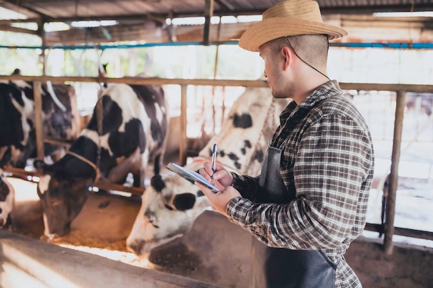 Agricultor asiático Trabajar en una granja lechera rural fuera de la ciudadJóvenes con vaca