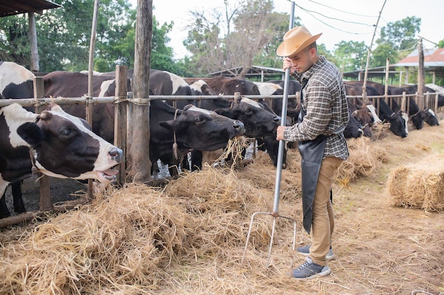 Agricultor asiático Trabajar en una granja lechera rural fuera de la ciudadJóvenes con vaca