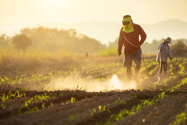 Foto agricultor asiático trabalhando no campo e pulverização de produtos químicos