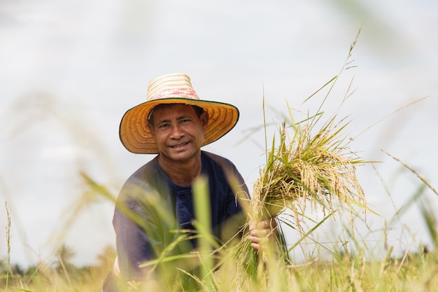 Agricultor asiático