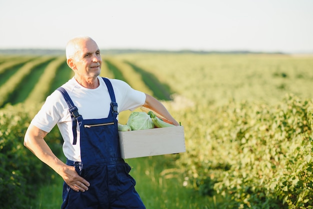 Agricultor con caja de madera de verduras en el campo