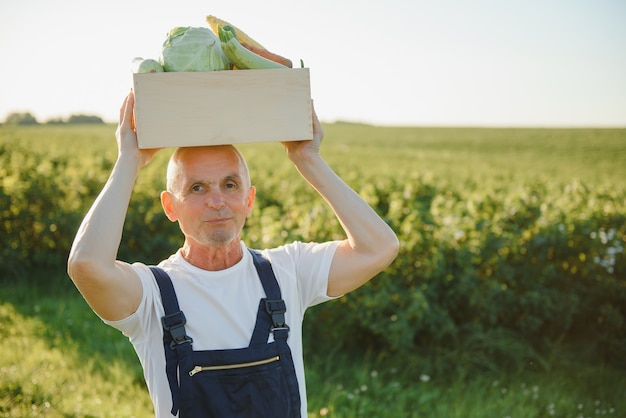 Agricultor con caja de madera de verduras en el campo