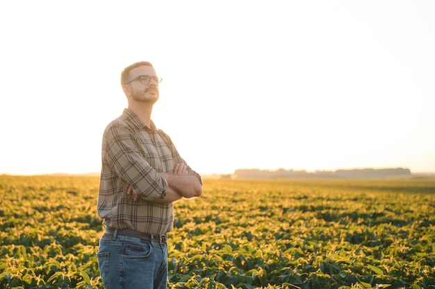 Agricultor en campos de soja Crecimiento al aire libre