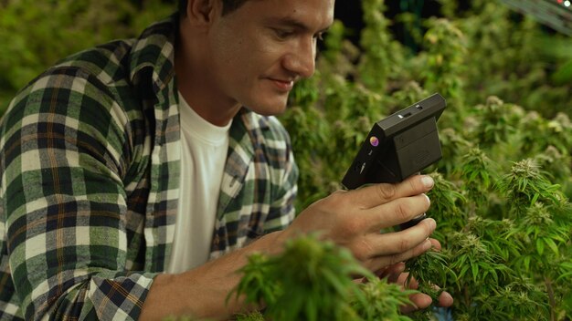 Foto un agricultor de cannabis usa un microscopio para analizar el cbd en una granja de cannabis curativo
