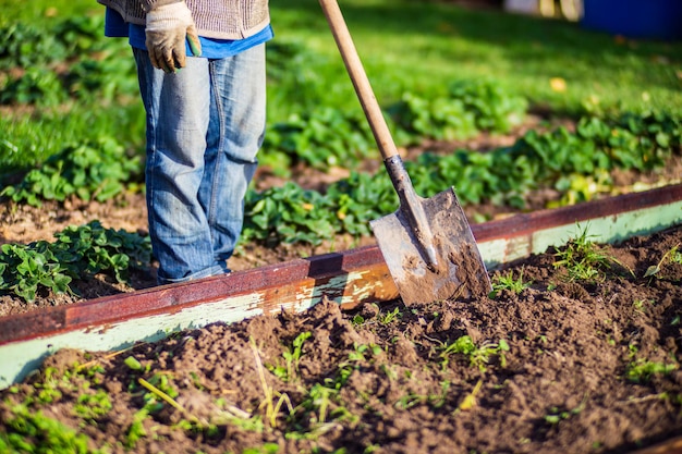 El agricultor cava el suelo en el huerto Preparando el suelo para plantar verduras Concepto de jardinería Trabajo agrícola en la plantación