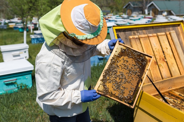 Un agricultor en un colmenar de abejas sostiene marcos con panales de cera