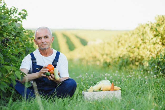 Agricultor com caixa de madeira com vegetais no campo