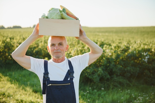 Agricultor com caixa de madeira com vegetais no campo