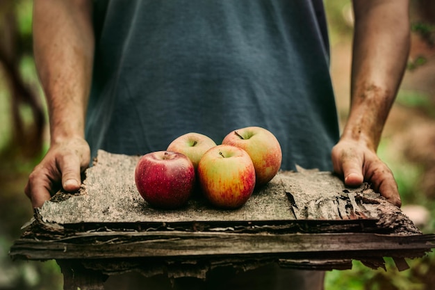 Foto agricultor com maçãs