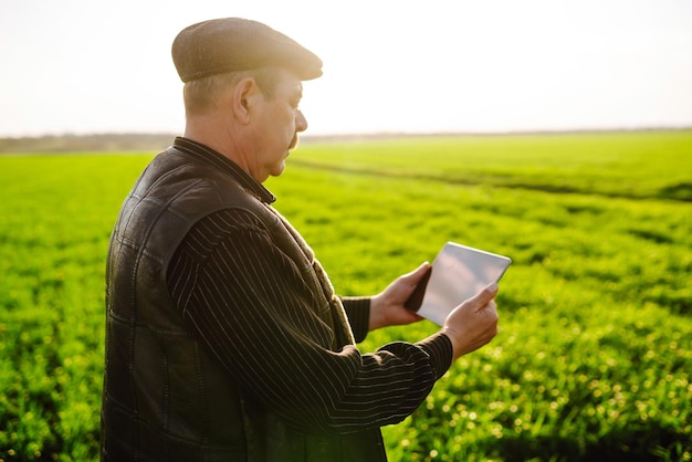 Agricultor com tablet digital nas mãos verifica a condição do trigo jovem no campo Rich Harvest