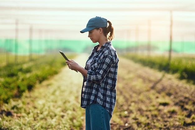 Agricultor com tablet verificando o crescimento monitorando o progresso da agricultura e gerenciando pedidos de exportação de fazendas em tecnologia Jardineira séria e cientista ambiental analisando dados de estufa na propriedade