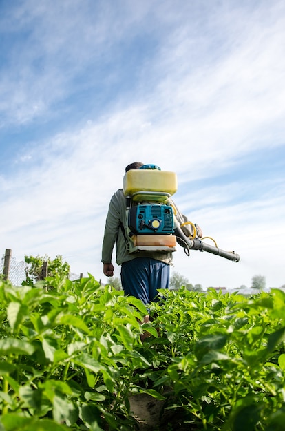 Foto agricultor com um pulverizador de névoa caminha pelo campo de fazenda protegendo plantas cultivadas contra insetos