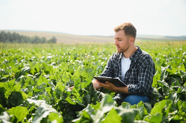 Agricultor comprobando la calidad de la remolacha azucarera