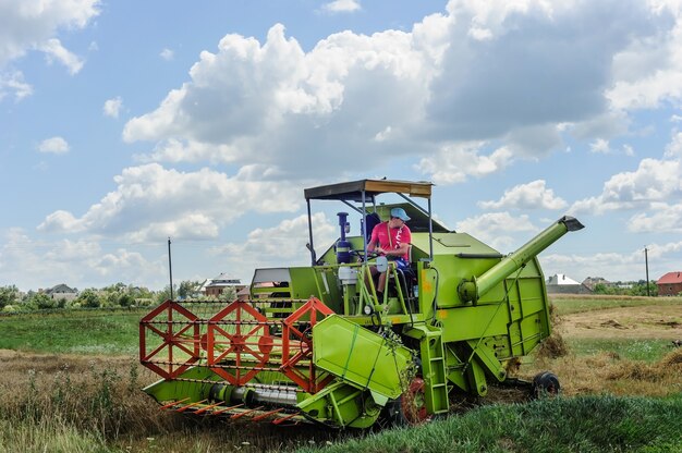 El agricultor de la cosechadora está cosechando granos