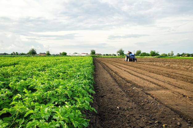 El agricultor cultiva la mitad del campo Cosecha y destrucción de las copas después de la cosecha Liberación del área para una nueva cosecha Molienda del suelo Arado Aflojamiento de la superficie de cultivo Agricultura