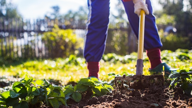 Foto agricultor cultivando terra no jardim com ferramentas manuais afrouxamento do solo conceito de jardinagem trabalho agrícola na plantação