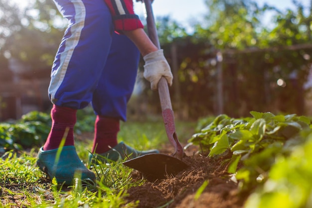 Foto agricultor cultivando terra no jardim com ferramentas manuais afrouxamento do solo conceito de jardinagem trabalho agrícola na plantação