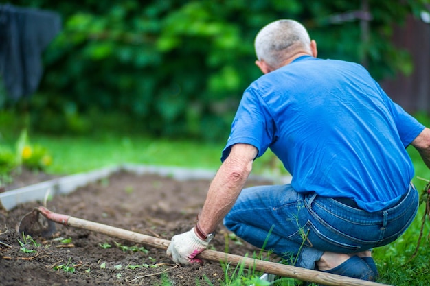 Foto agricultor cultivando la tierra en el jardín con herramientas manuales aflojamiento del suelo concepto de jardinería trabajo agrícola en la plantación